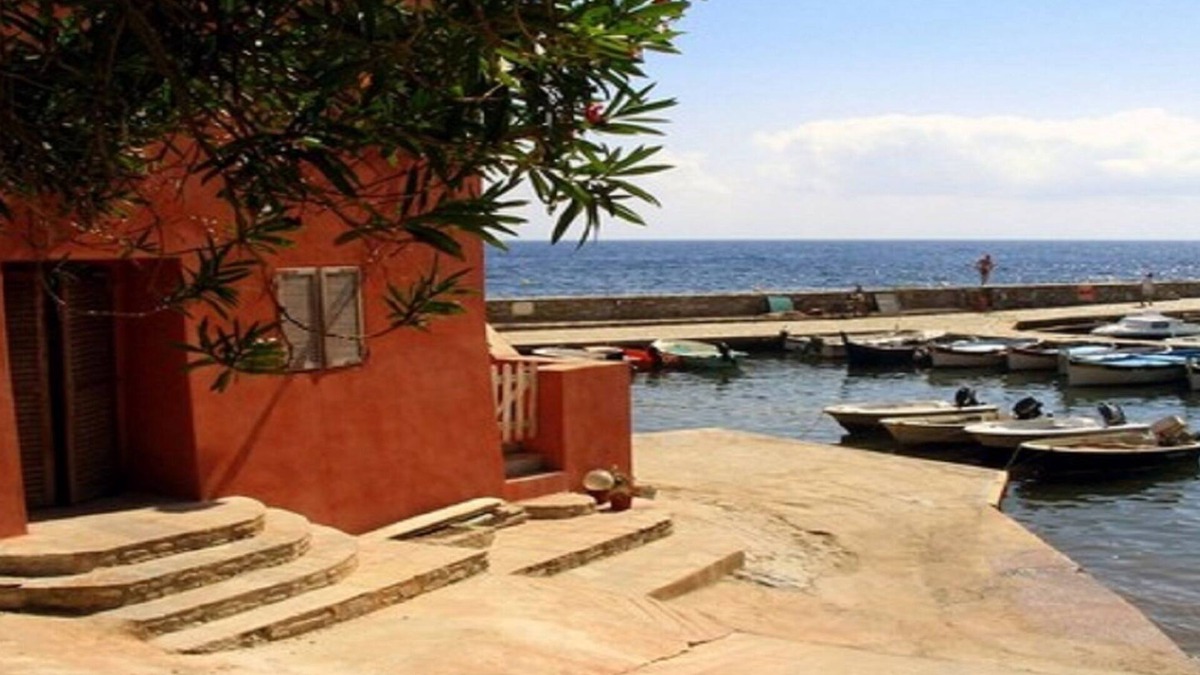 Erbalunga Apartment | Two rooms + terrace, sea view, Erbalunga harbor