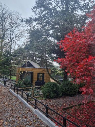 Cowbridge Villa | Ty Branwen