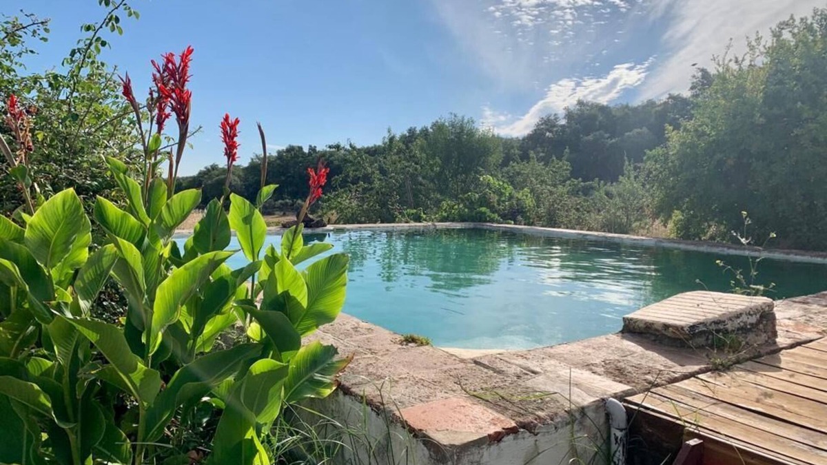 Estremoz Other | Typical farm in cork and holm oak woods