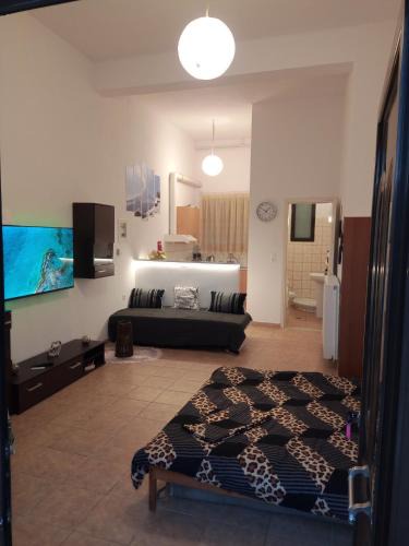 Pramanta Apartment | Tzoumerka Panorama