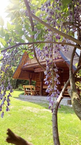 Gorlice Ski Chalet | U Leona