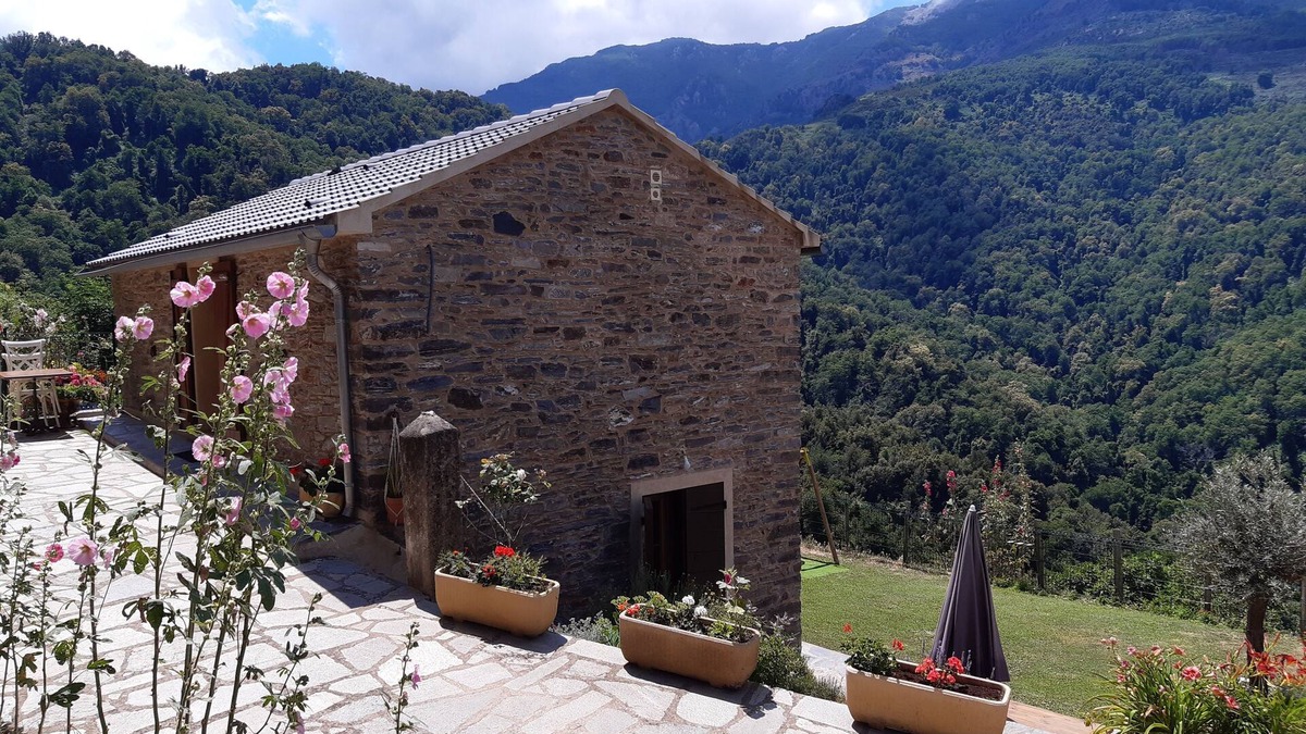 Carpineto House | U RATAGHJU - OREZZA Region - CASTAGNICCIA - UPPER CORSICA