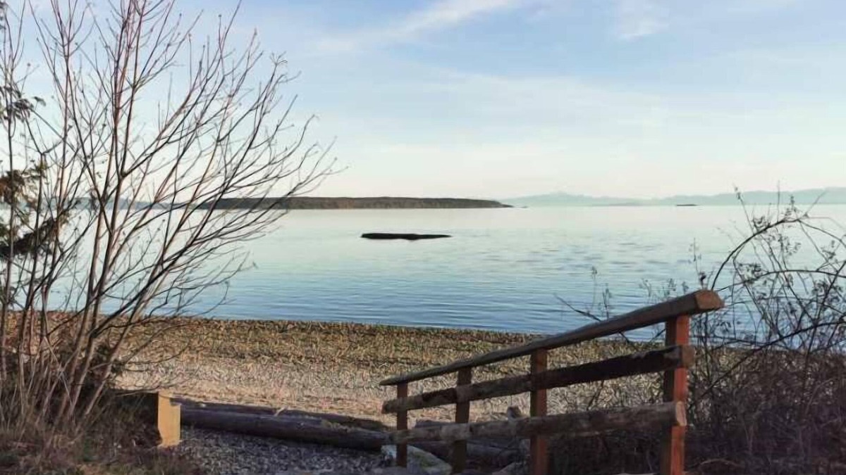 Powell River Apartment | U1 Seaside Serenity: Seal Bay Glamping Retreat