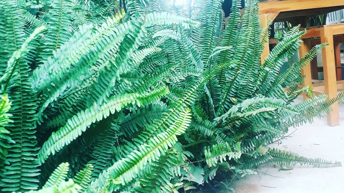 Nan House | Ui Bai Valley