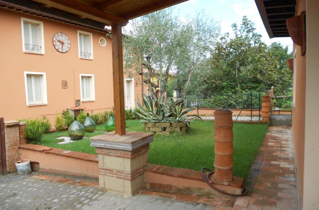 Querce House | Ulivo Della Querce