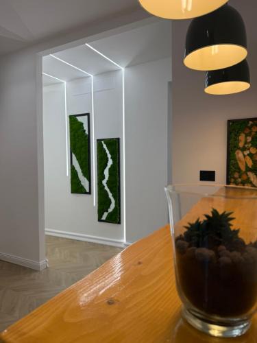 San Giovanni House | Ulivo Guest House Roma