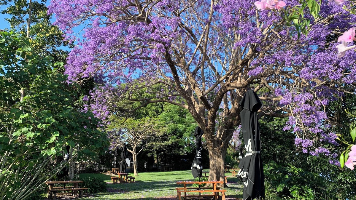 Ulmarra Hotel | Ulmarra Hotel