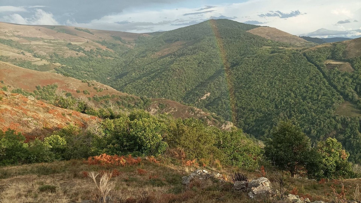 La Salle-Prunet House | Un Écrin de Verdure Entre Causses Cévennes et Mont Lozère