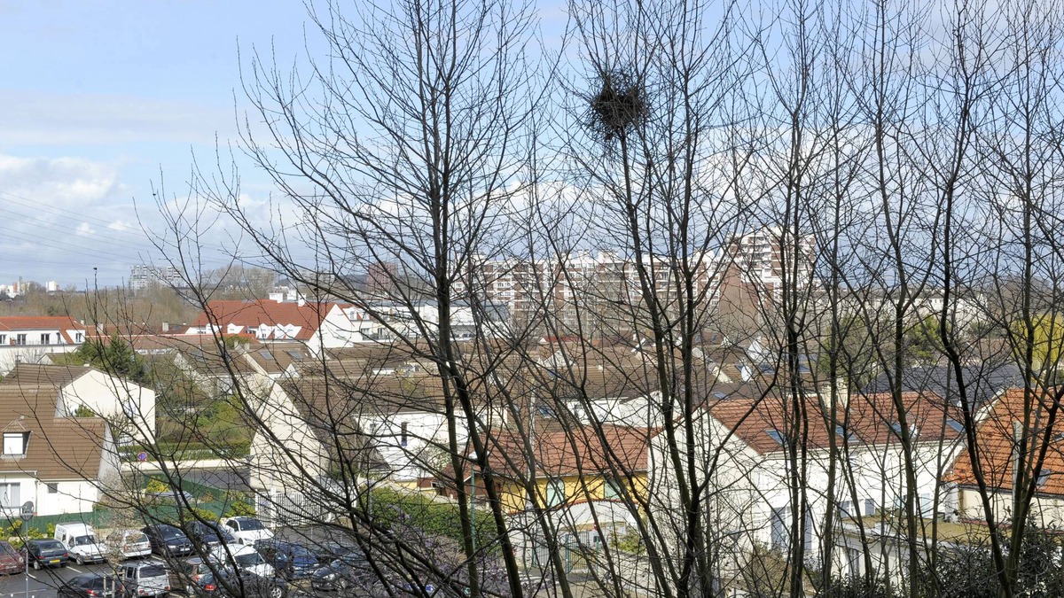 L'Ile-Saint-Denis Apartment | Un nid Pour Deux : Cosy F1 bis Proche de Paris
