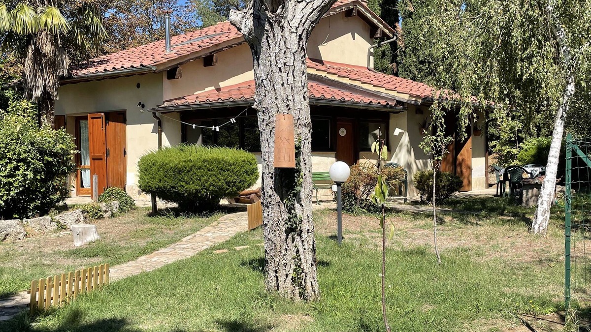 Vescovado House | Una casa nel bosco