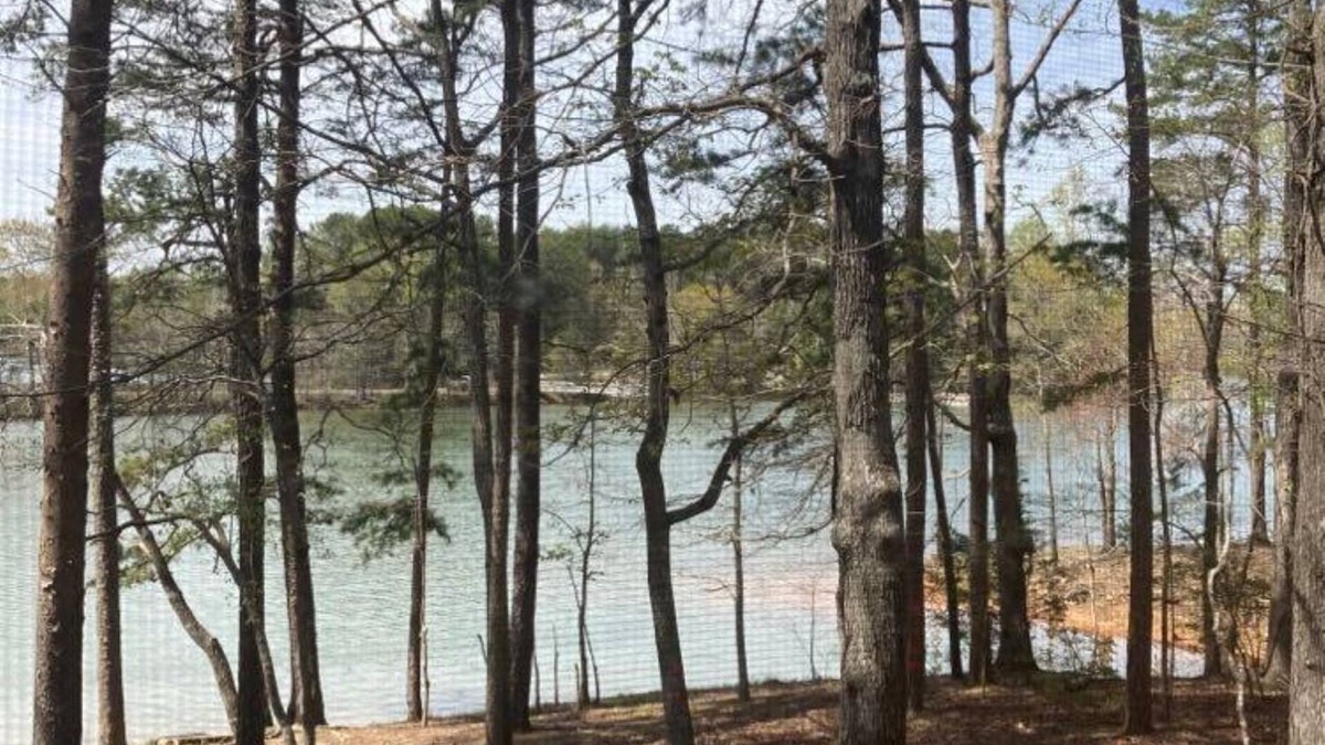 Martin Cottage | Uncork, Unwind, Relax @ this Family & pet Friendly Lake Home #1