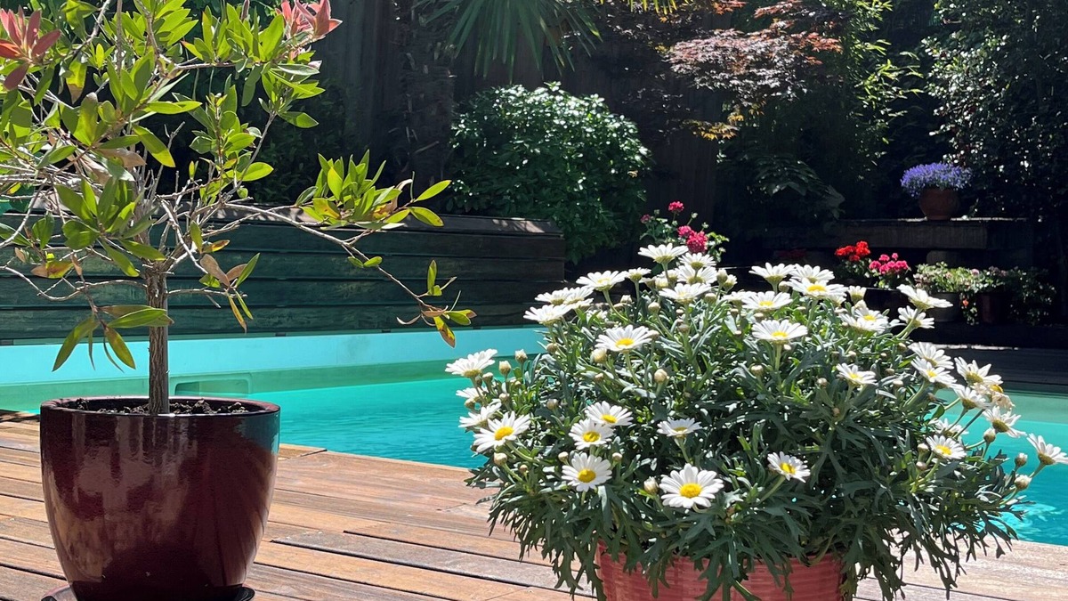Montbrison Bed & Breakfast | Une Odeur de Tilleul