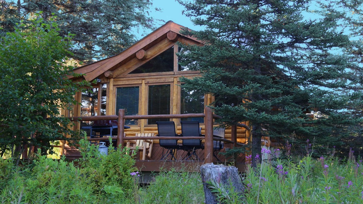 Anchor Point Cabin | Unique Alaskan log home in trees & wild flowers on 14-acre private homestead.
