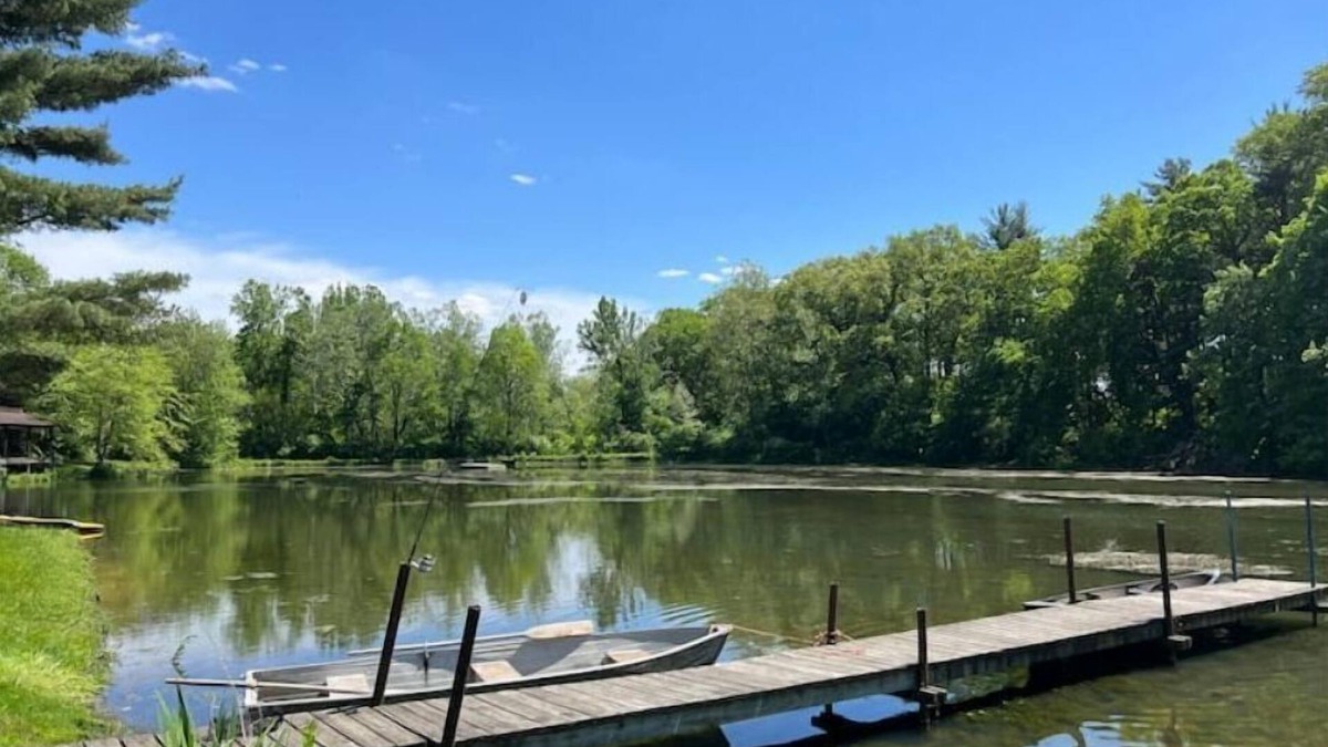 Twelve Mile Cabin | Unique Log Cabin Retreat on 138 Acres, swim, fish, boat, paddleboard, kayak!