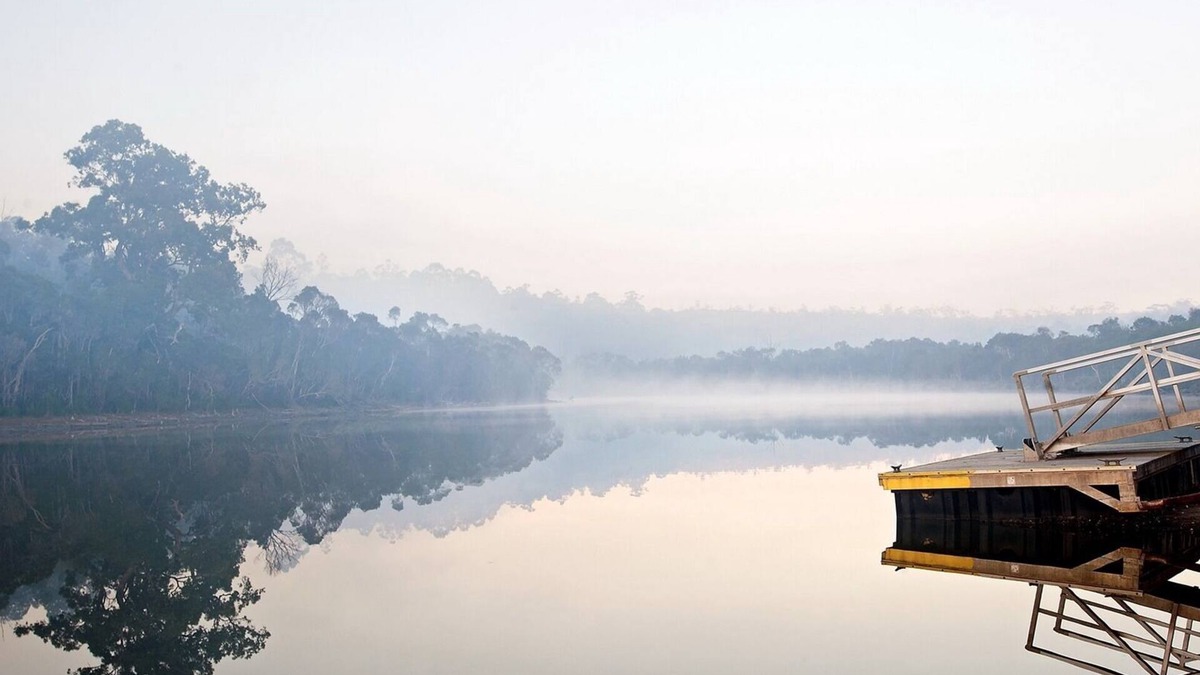 Nowa Nowa Cabin | Unique & Tranquil Property - Mingling Waters