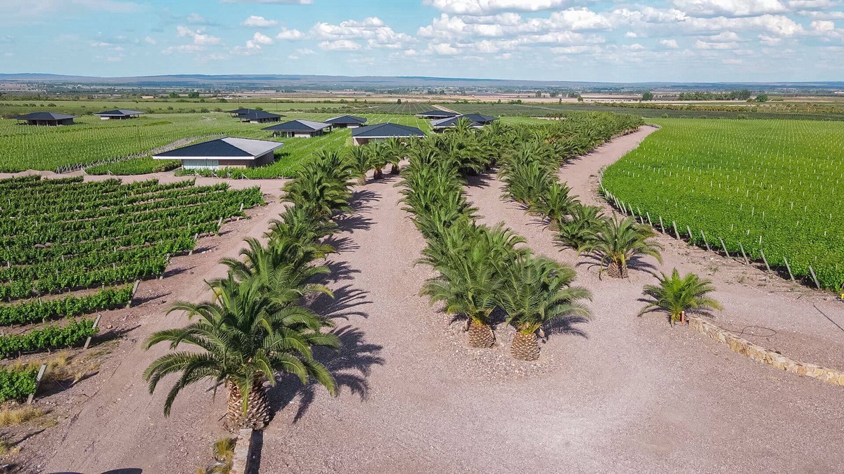 Ugarteche Cabin | Unique Villas del Malbec Lodges between vineyards and mountain view