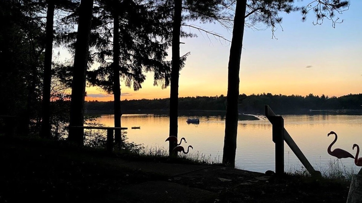 Wild Rose Cabin | Unique Waterfront Property-Modern Amenities Plus Lots of Vintage Charm