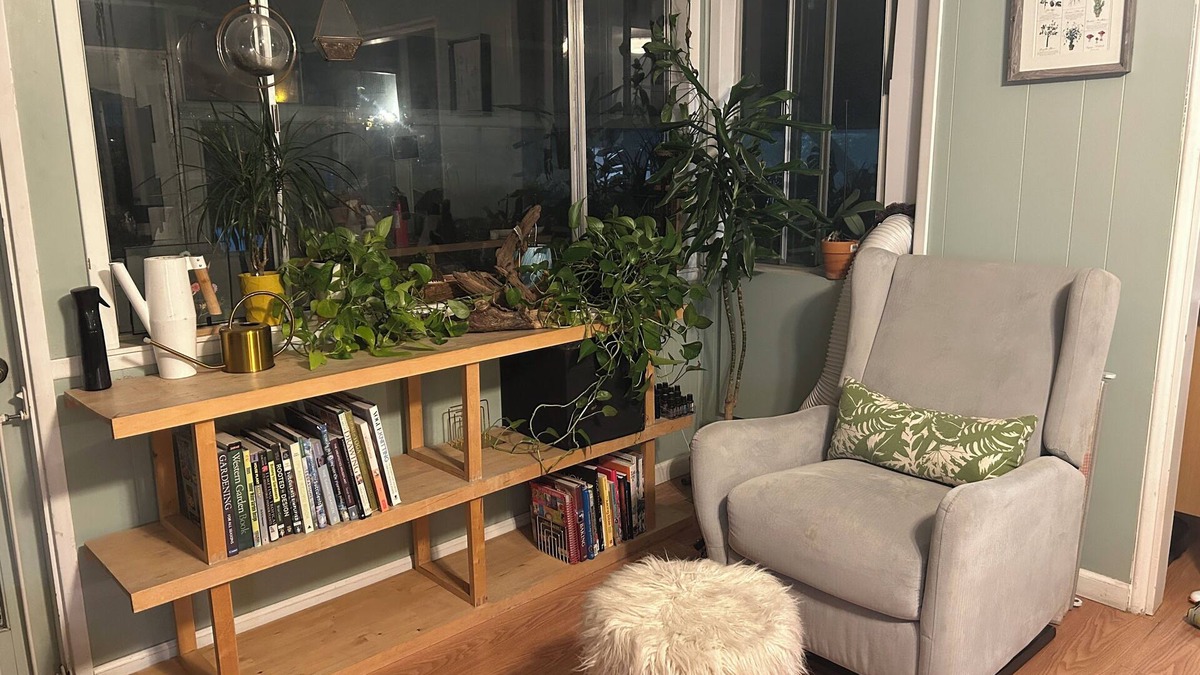 Broadway - Palmhaven House | Unique Willow Glen Hideaway, Walk to Shops & Restaurants, Family & Pet-Friendly