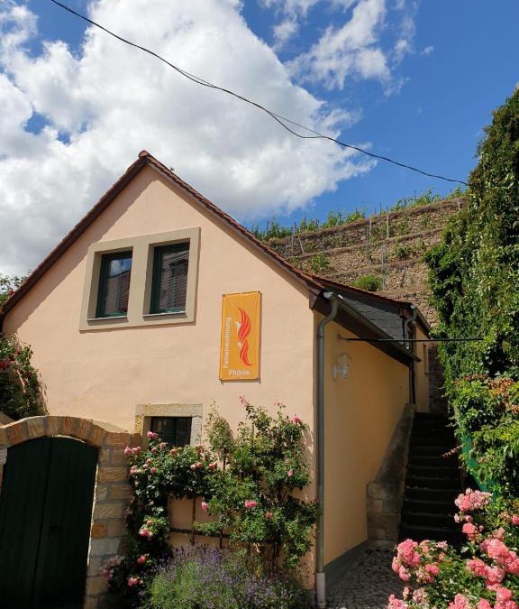 Diesbar-Seusslitz Apartment | Unterkunft am Weinberg