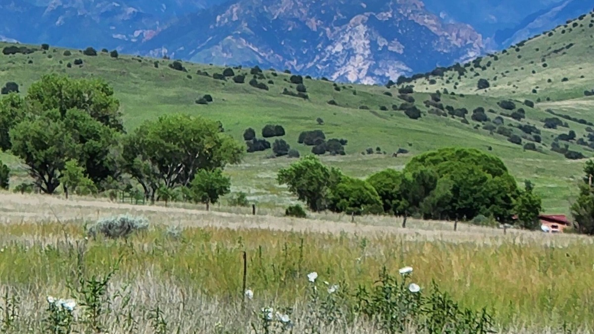 Mule Creek House | Up Country Ranch House down a quiet lane