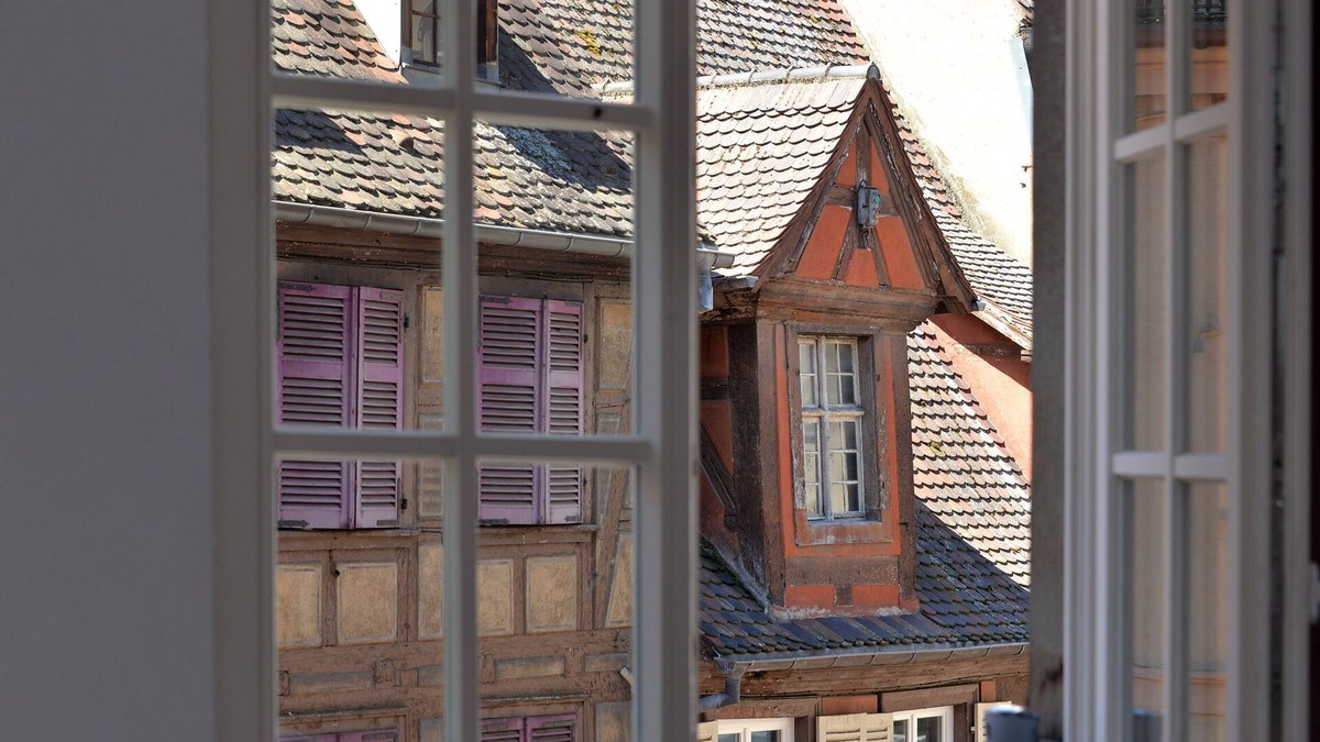 Colmar Centre Ville Apartment | Upscale apartment in the heart of the historic center of Colmar