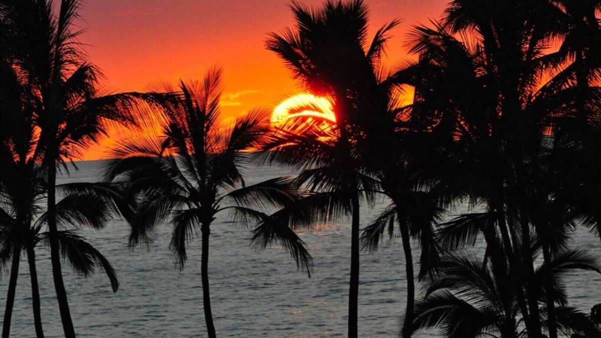 Wailea Condo | Upscale Wailea Maui, Full AC, 1st Fl, Expansive Lanai, Pool & Walk to Beach