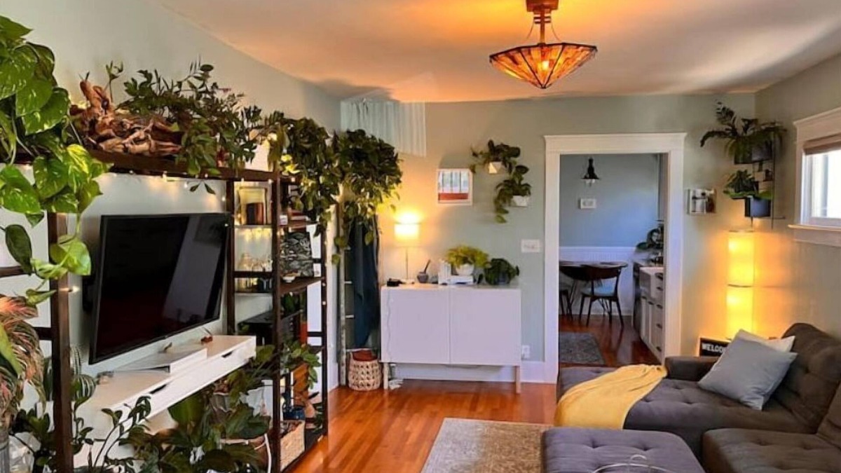 North Park House | Urban Greenhouse