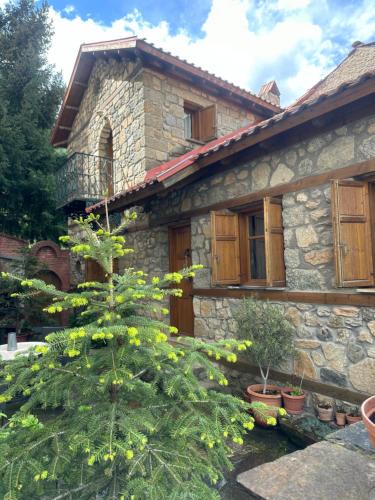 Florina Villa | Urban River House