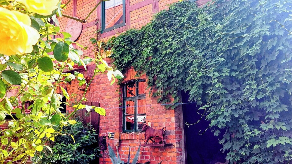 Deersheim Apartment | Urlaub im Alten Fachwerk Im Sommer mit Gartenblick Oder im Winter vor dem Kamin