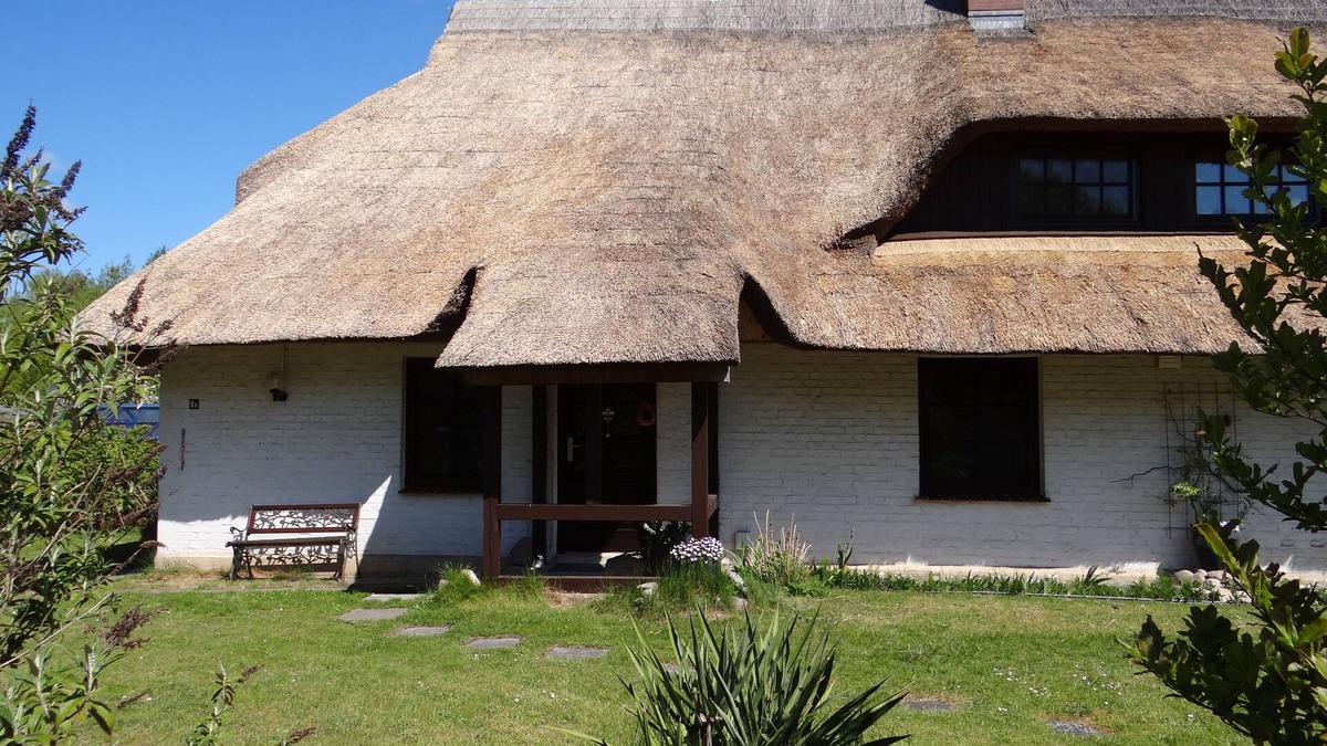 Wiethagen Apartment | Urlaub mit dem Haustier im Wald