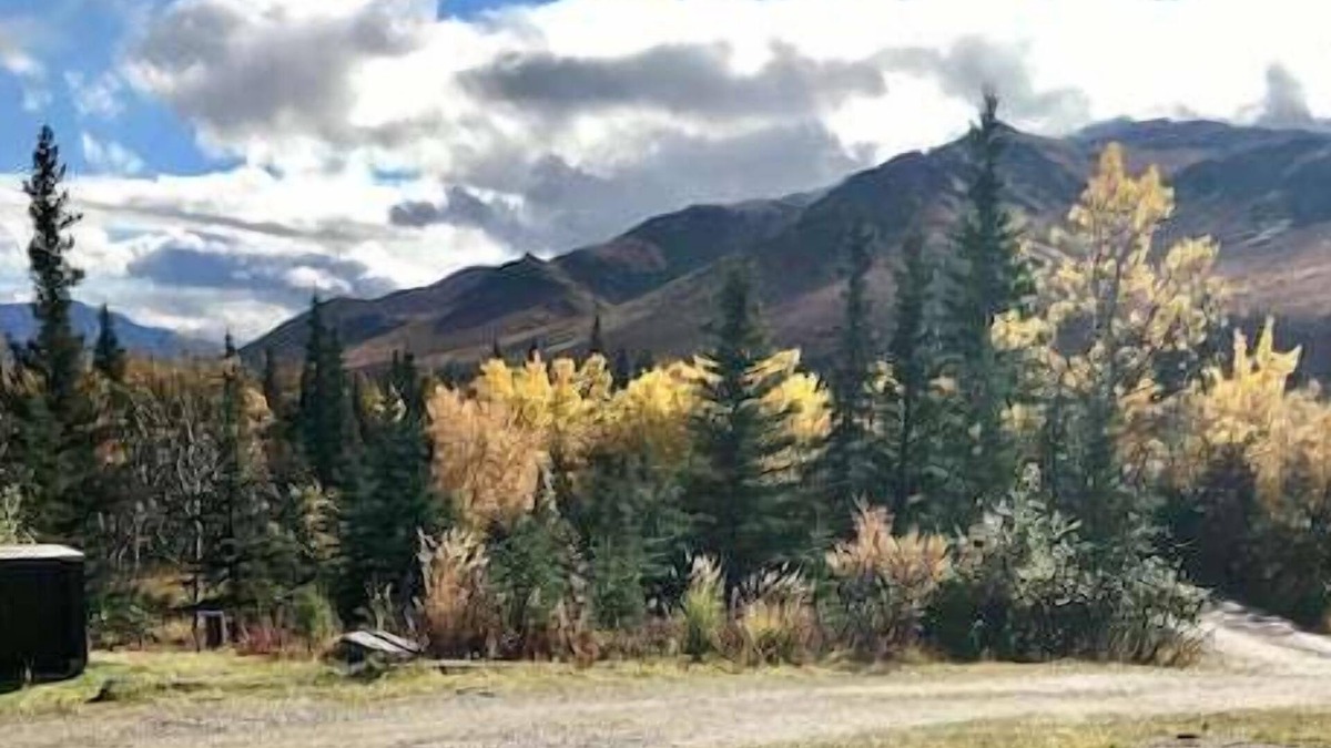 Healy House | Denali Park View House, 4-Bedroom