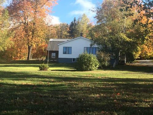 Portage Lake House | Embrace Nature in this Breathtaking Cottage in Portage Lake, Maine