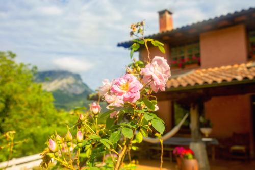 Intza House | Utsusabar baserria