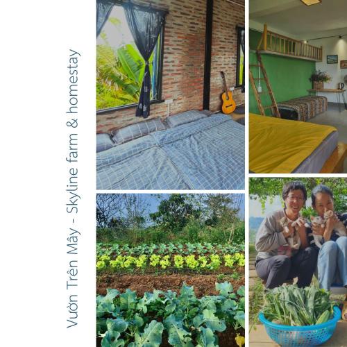 Moc Chau House | Vườn Trên Mây - Skyline Farm & Homestay