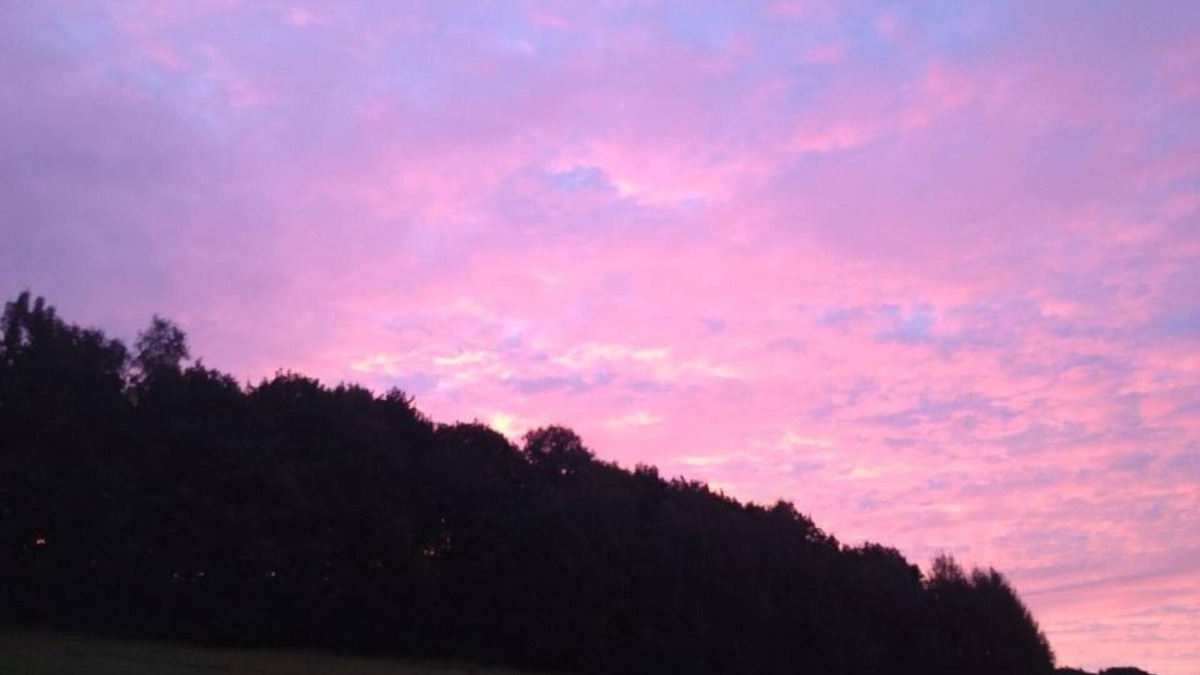 Bad Gottleuba House | Vacation home in the climatic health resort Bad Gottleuba