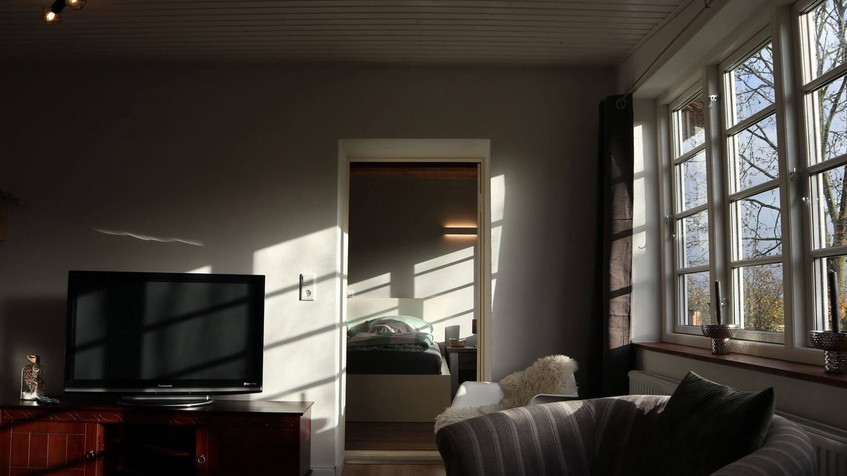 Hattstedtermarsch Apartment | Vacation apartment - Diekblick - Kleiner Deichhof - 2 bedrooms - 60 m² - directly on the dyke