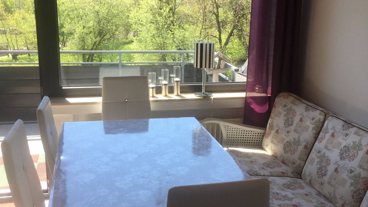 Usseln Condo | Vacation apartment Schamei with infrared fireplace, in the middle of nature