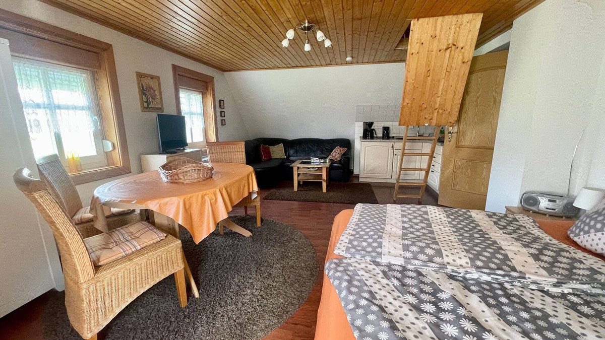 Kolonie Apartment | Vacation apartment Drossel - Thatched plank house Zum Heuschober