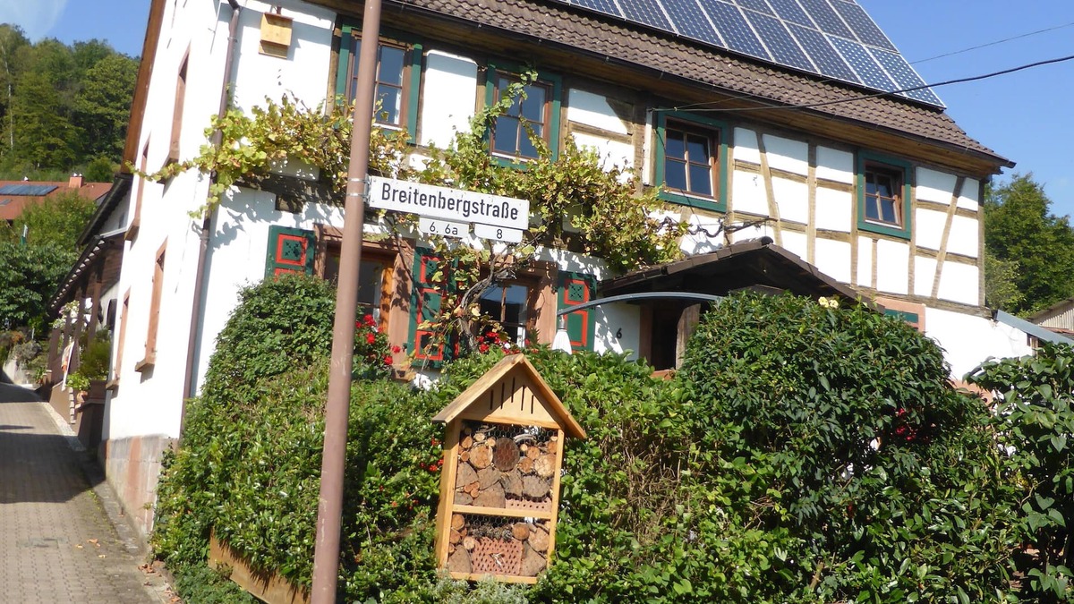 Wilgartswiesen Apartment | Vacation apartment at Breitenberg