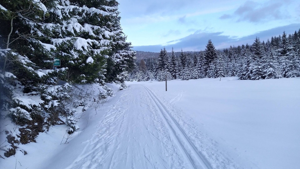 Rehefeld-Zaunhaus Apartment | Vacation apartment/apartment for 4 guests with 63m² in Altenberg (171764)