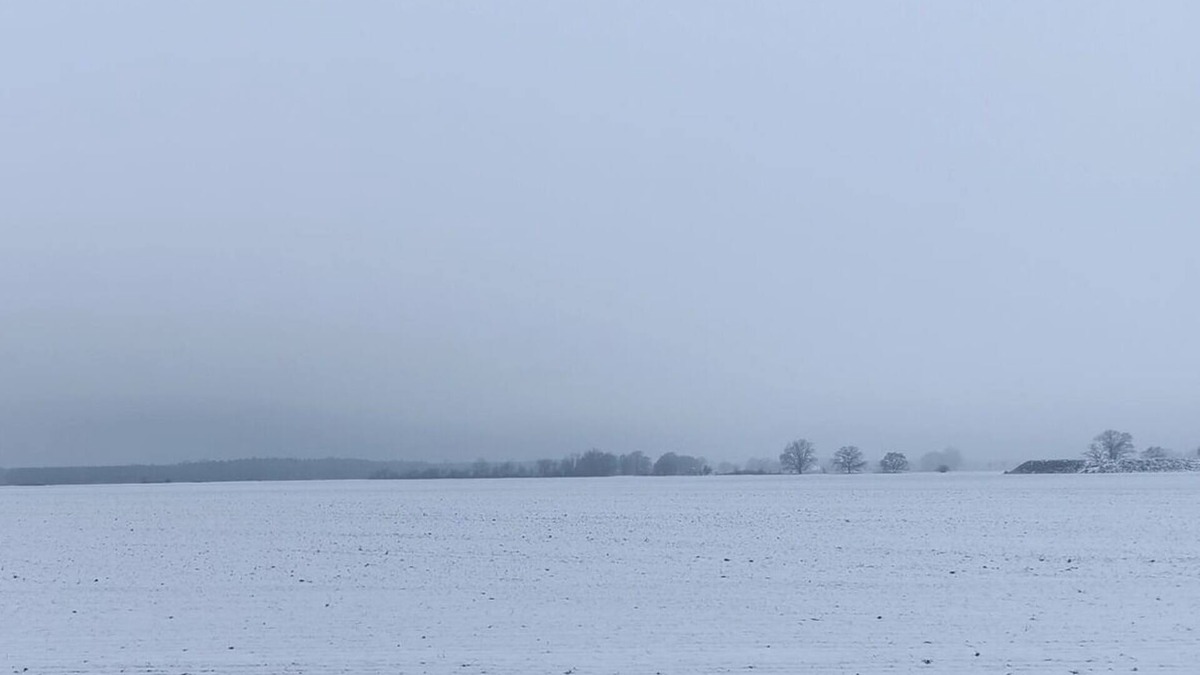 Schonwald Apartment | Vacation apartment/apartment for 7 guests with 85m² in Schönwald (172851)