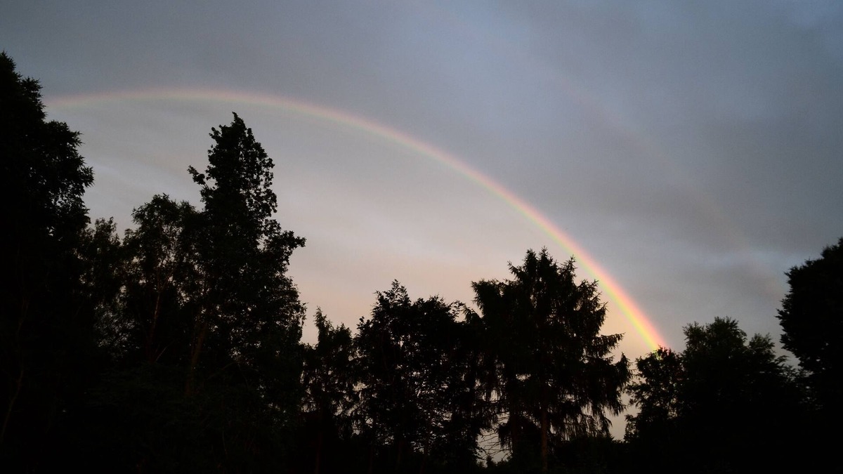 Mitte Apartment | Vacation apartment/apartment for 2 guests with 48m² in Dülmen (73038)