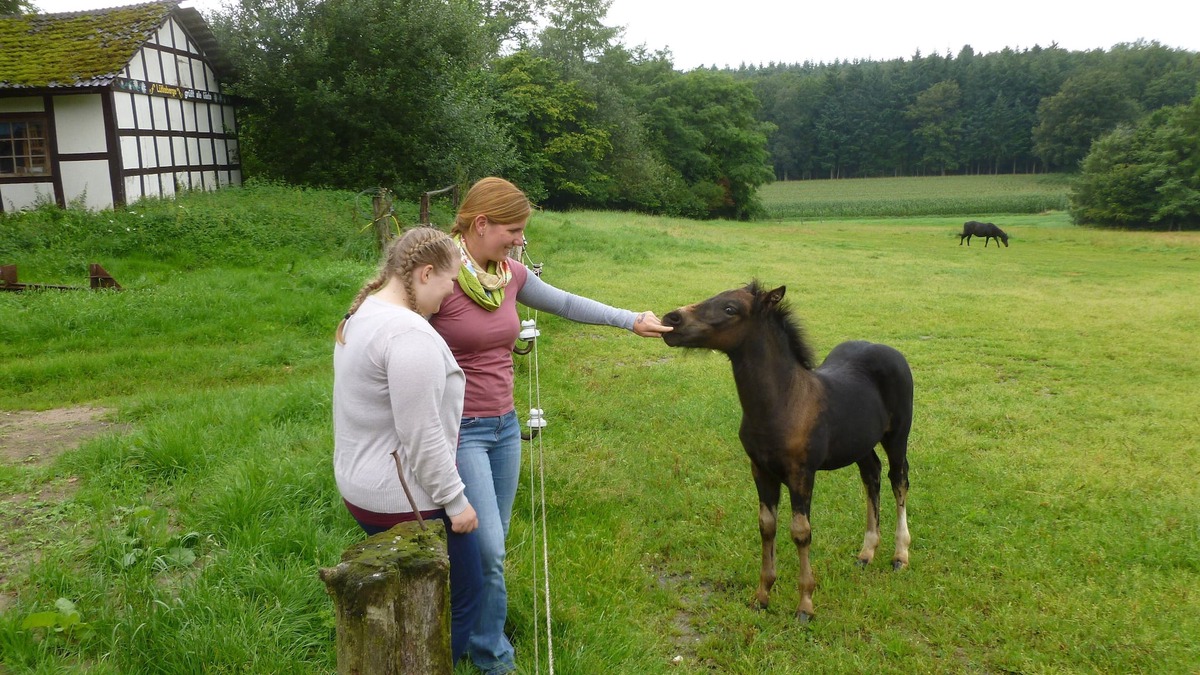 Merzen Apartment | Vacation apartment/apartment for 8 guests with 55m² in Merzen (121138)