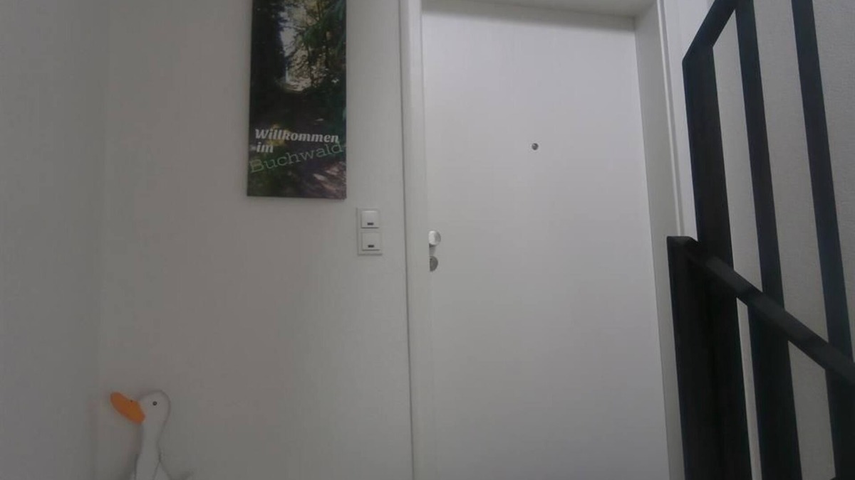 Greimerath Bed & Breakfast | Vacation apartment Buchwald - Guesthouse Greimerather Forst