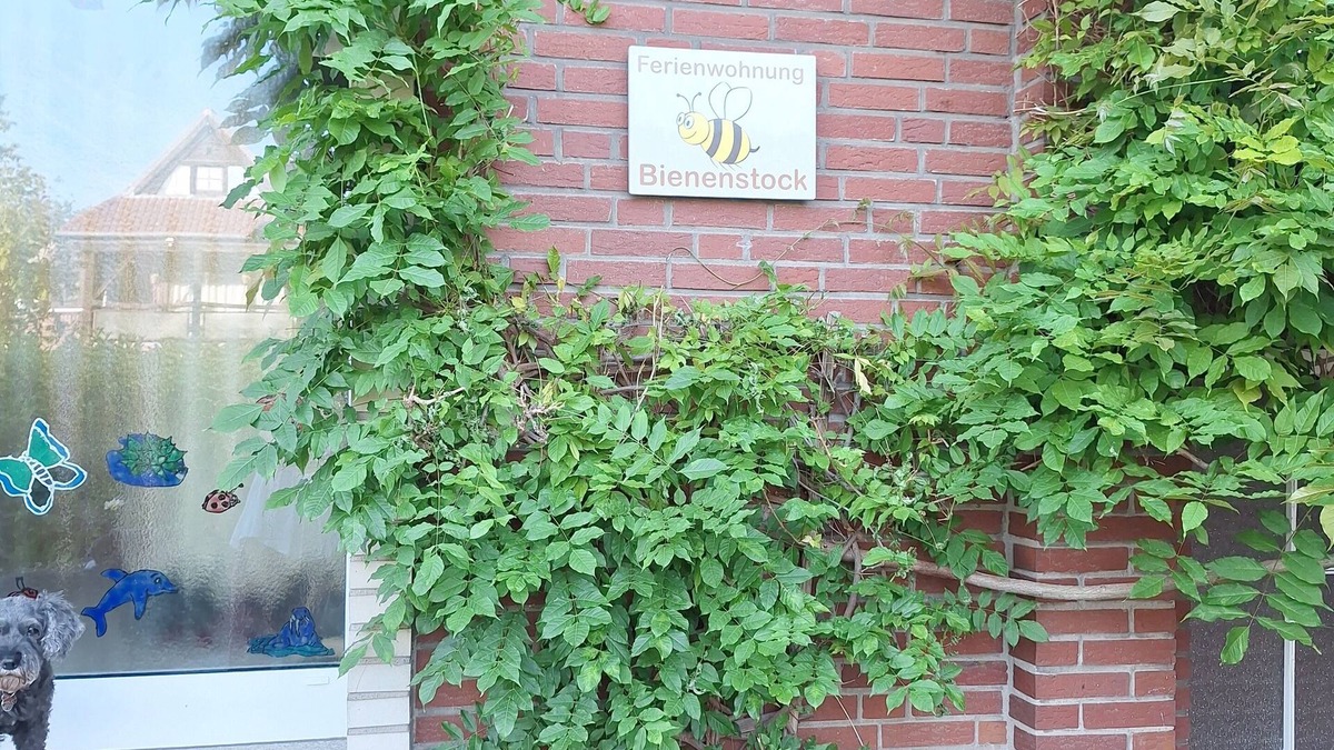 Kempen Apartment | Vacation apartment Bienenstock, located in the countryside near the town of Kempen