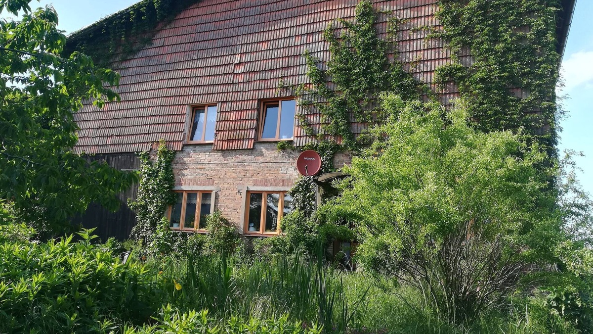 Dettmannsdorf Apartment | Vacation apartment/apartment for 4 guests with 40m² in Dammerstorf (120572)