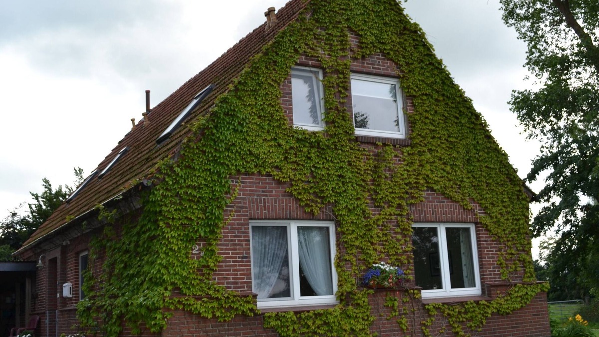 Schwanewede Apartment | Vacation apartment/apartment for 4 guests with 85m² in Schwanewede (105316)