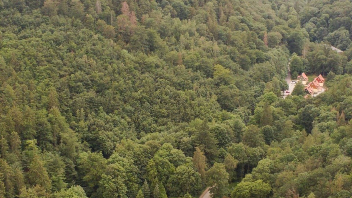 Ilsenburg Apartment | Vacation apartment Ferienhäuser am Brocken, 60 sqm 2 bedrooms