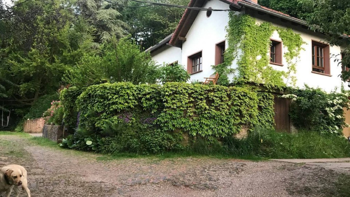 Merzig Apartment | Vacation apartment Grün und Aussichtsreich - apartment/apartment, shower, WC, 1