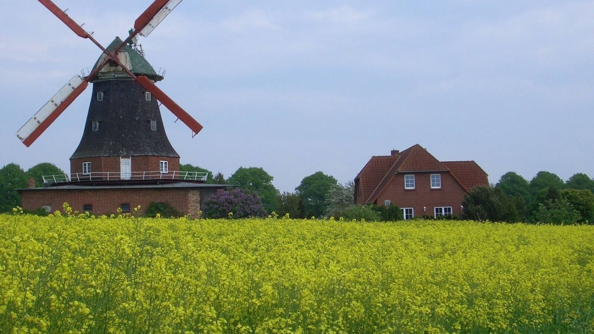 Neubukow Apartment | Vacation apartment to the windmill - 11 KW Wallbox